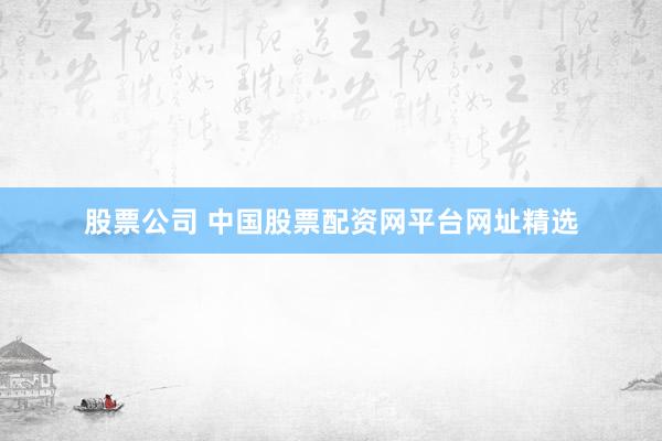股票公司 中国股票配资网平台网址精选
