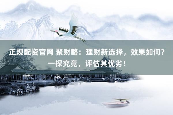 正规配资官网 聚财略：理财新选择，效果如何？一探究竟，评估其优劣！