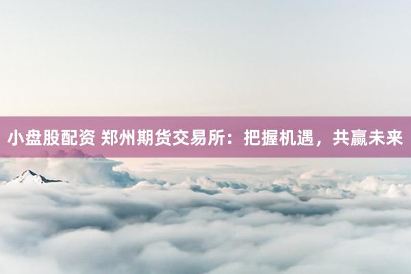 小盘股配资 郑州期货交易所：把握机遇，共赢未来