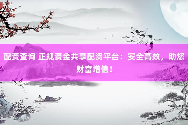 配资查询 正规资金共享配资平台：安全高效，助您财富增值！