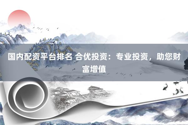 国内配资平台排名 合优投资：专业投资，助您财富增值