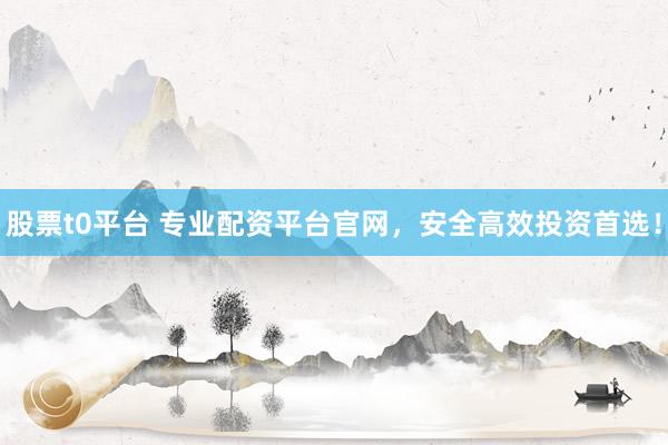 股票t0平台 专业配资平台官网，安全高效投资首选！
