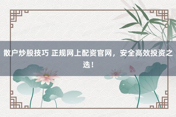散户炒股技巧 正规网上配资官网，安全高效投资之选！