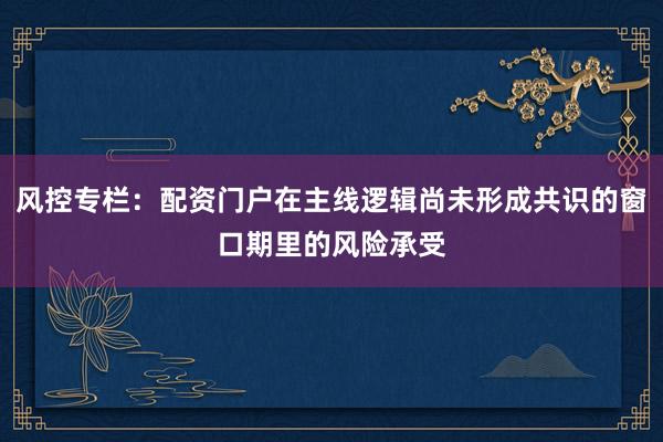 风控专栏：配资门户在主线逻辑尚未形成共识的窗口期里的风险承受