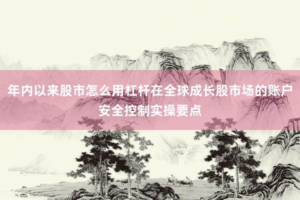 年内以来股市怎么用杠杆在全球成长股市场的账户安全控制实操要点