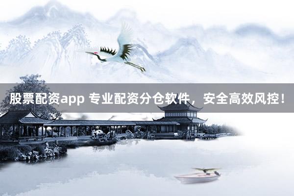 股票配资app 专业配资分仓软件，安全高效风控！