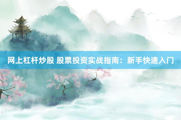 网上杠杆炒股 股票投资实战指南：新手快速入门